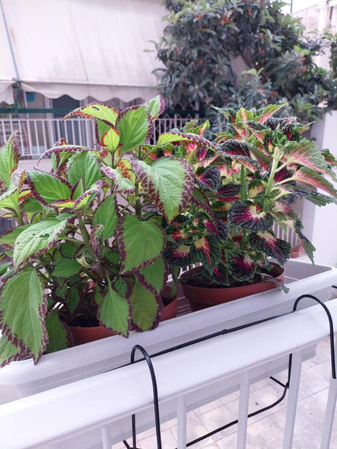 Athens Lovio Apartment Dış mekan fotoğraf